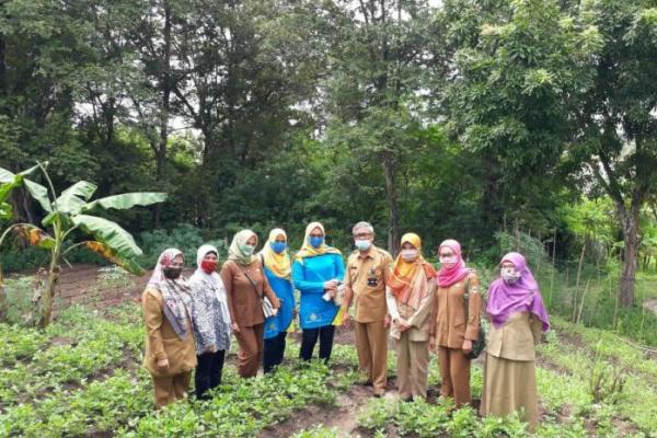 Pertanian tumbuh positif saat sektor lain babak belur. Kelompok Wanita Tani (KWT) Cengek, Cilegon, juga merasakan manfaat pertanian. Dengan mengolah daun singkong, KWT Cengek meraup omzet mencapai Rp 40 juta perbulan.