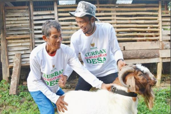 Walad juga berinovasi untuk menambah nilai pemberdayaan dengan membuat pupuk kompos organik dengan memanfaatkan kotoran dari hewan ternak mustahik.