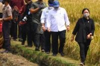 Ikut Panen Raya di Malang, Puan Minta Pemerintah Pastikan Ketersediaan Pupuk
