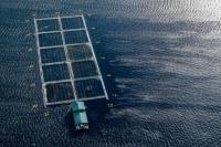 Patut Ditiru, Begini Cara Qatar Hadapi Perubahan Iklim