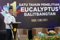 Lama Tak Terdengar, Begini Kabar Terkini Penelitian Eucalyptus Kementan