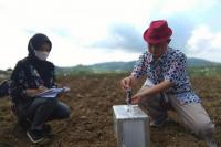 Terapkan Budidaya Hortikultura Ramah Lingkungan Bantul Siap Antisipasi Dampak Pemanasan Global