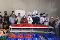 Kementan akan Terus Bantu Petani Hasilkan Produk Hortikultura yang Berkualitas