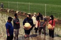 Erick Thohir: Petani Harus Didukung Kegiatan Bisnis Profesional