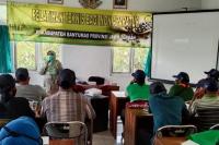 Dukung Food Estate, Kementan Siapkan Kapasitas SDM Pertanian Dengan Berikan Pelatihan di 15 Wilayah