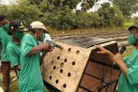 Kementan Tingkatkan Kapasitas Penyuluh di Piyungan Lewat Bimtek Budidaya Bawang Merah