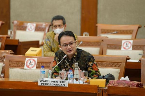 Wakil Menteri Perdagangan yang dimintai tanggapannya mengenai hal ini mengatakan, bahwa Kementerian Perdagangan akan terus mengawal arahan presiden dalam memasifkan ekonomi digital.