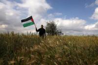 Gegara Serangan Israel, Pertanian Palestina Merugi Ratusan Juta Dolar