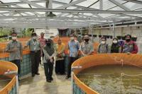 Dukung Food Estate, Kementan Latih Dosen Polbangtan untuk Penerjunan Mahasiswa