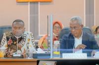 Pansus Otsus Papua DPR Dukung Penguatan Lembaga HAM di Papua