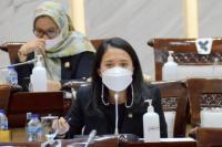 DPR Ingatkan Pemerintah Antisipasi Kenaikan Inflasi Bahan Pangan