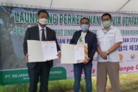 Pengembangan Stevia di Kabupaten Minahasa Bukti Korporasi dan Investasi Sejalan