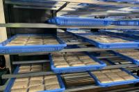 Harga Tahu dan Tempe Mahal, Kemendag Berharap Masyarakat Maklumi