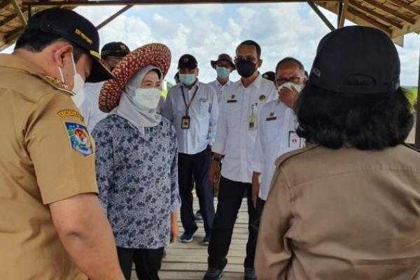 sebagian besar sesuai dengan action plan yang dibuat oleh Gubernur Kalteng