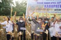 Panen Jagung di Bone, Mentan SYL: Bangun Pertanian Tak Cukup Andalkan APBN