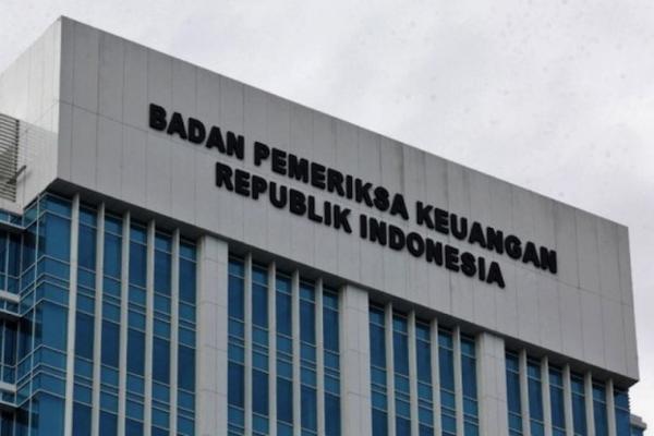 PB PMII meragukan independensi dan profesionalitas Badan Pemeriksa Keuangan. 