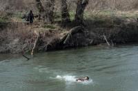 Ditolak Yunani, Pencari Suaka Ini Nekat Berenang Kembali ke Turki