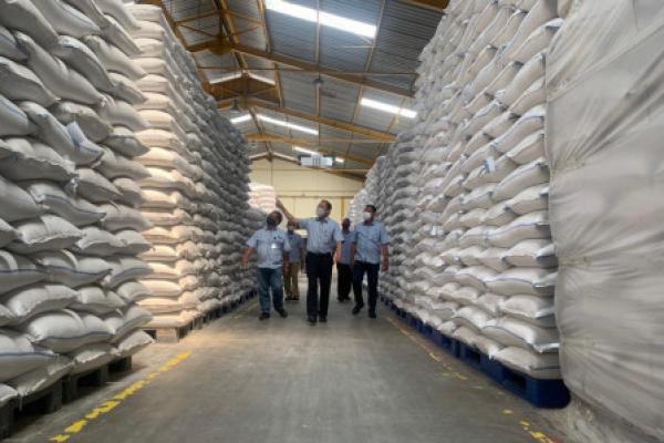 Pemerintah diminta tak kesampingkan permasalahan produksi beras.