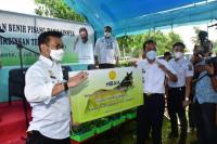 Beri Bantuan Benih Pisang, Mentan SYL: Kebutuhan Dunia Sangat Besar