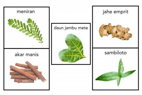 Jaga imun adalah satu dari tiga kata kunci yang gencar dikampanyekan pemerintah untuk penegahan COVID-19, yaitu Iman, Aman dan Imun.