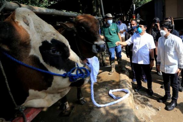 Idul Adha di masa pandemi dan PPKM Darurat ini menjadi momentum pejabat berqurban untuk rakyat.