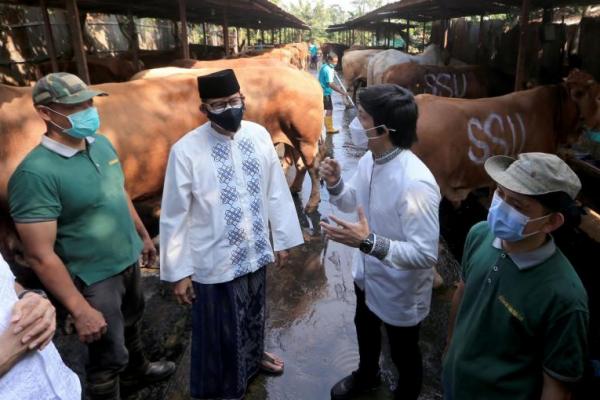 Sandiaga Uno bersama tokoh agama dan juga Atta Halilintar serahkan 1.000 hewan qurban ke 17 Provinsi.