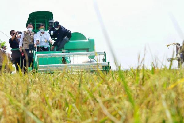 Ia memastikan dengan adanya panen raya dan percepatan tanam di berbagai wilayah, ia yakin kebutuhan beras masyarakat mampu dipenuhi dari produksi dalam negeri meski di tengah pembatasan akibat pandemi.