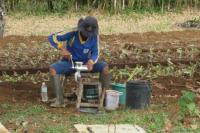 Kondisi Pemakaian Pestisida Cukup Memprihatinkan