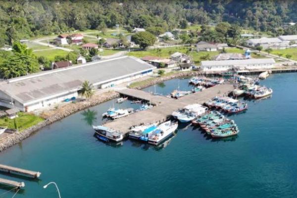 Tugas KKP di sini adalah untuk mempersiapkan Pelabuhan Perikanan Bagansiapiapi yang akan menjadi Integrated Fishing Port & International Fish Market.