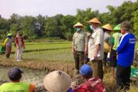 Polbangtan YoMa Gandeng BPTP Yogyakarta Dampingi Petani Ngemplak Tanam Serentak IP 300