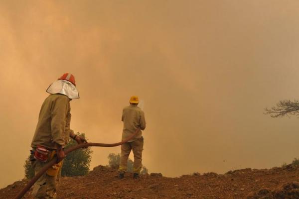 Turki bertindak cepat melawan kebakaran hutan karena semua lembaga negara, sukarelawan, LSM, dan kota serta petugas pemadam kebakaran yang heroik berusaha secara harmonis untuk memadamkan api.