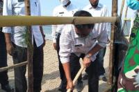 KKP Lakukan Penanaman Vegetasi Pantai Di Kawasan Rawan Bencana Tsunami