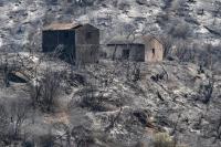 Maroko Tawari Aljazair Bantuan Atasi Kebakaran Hutan