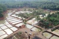 KKP Kembangkan Kampung Perikanan Budidaya Patin di Lebak