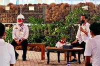 Program Diversifikasi Pangan, Presiden Jokowi Dorong Porang Jadi Pengganti Beras