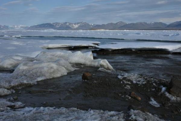 Sekelompok ilmuwan secara kebetulan menemukan Pulau Qeqertaq Avannarleq, pulau paling utara di dunia, yang berada di lepas pantai Greenland.