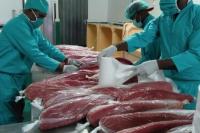 Biak Numfor Ekspor Perdana Produk Perikanan Ke Singapura