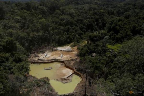 Penambang liar di Brasil sering mengekstraksi emas dari area yang tidak diperbolehkan menambang, seperti cagar alam yang dilindungi atau tanah adat.