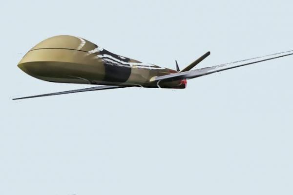Drone Elang Hitam adalah pesawat tanpa awak jenis Medium Altitude Long Endurance.