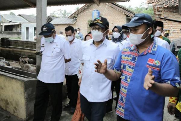 Terdapat BUMDes yang sukses mengembangkan peternakan sapi di Bengkulu yakni BUMDes Tunas Jaya di Kabupaten Kepahiang.