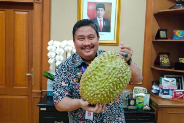 Jambore Hortikultura 2022, Kementan akan Tampilkan Buah-buahan Jumbo.