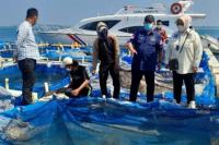 Komite II DPD Tinjau Lokasi Perikanan Pulau Panggang di Kepulauan Seribu