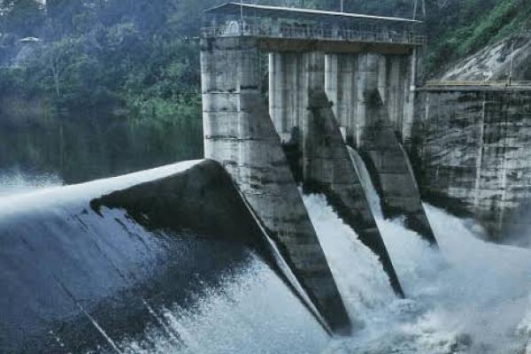 Pembangunan waduk Pembangkit Listrik Tenaga Air (PLTA) secara massif, rupanya berdampak merusak pada habitat harimau dan macan tutul (jaguar).