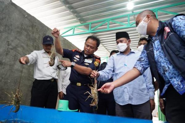 Kementerian Kelautan dan Perikanan (KKP) akan terus memperkuat pengawasan budidaya lobster.