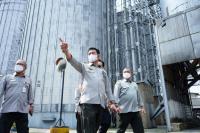 Ketersediaan Jagung Nasional untuk Pakan Ternak Dijamin Aman