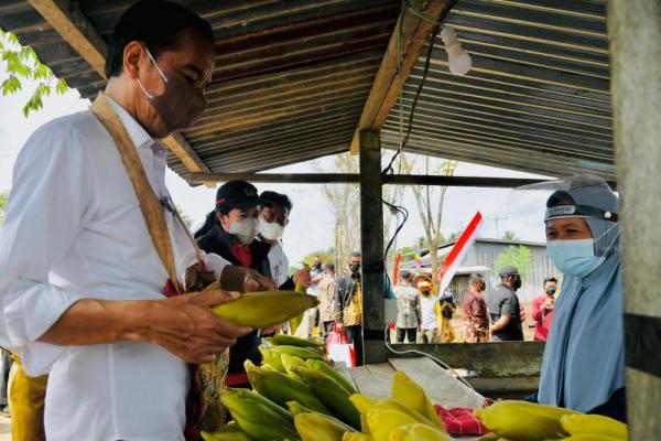 Tak hanya Jokowi, tampak pula Ketua DPR, Puan Maharani juga ikut membeli jagung rebus bersama Menteri Pertanian (Mentan), Syahrul Yasin Limpo.