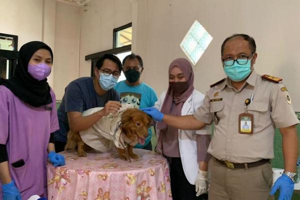Penyakit rabies itu penyakit yang sangat berbahaya, yang sering kita sebut dengan penyakit anjing gila.
