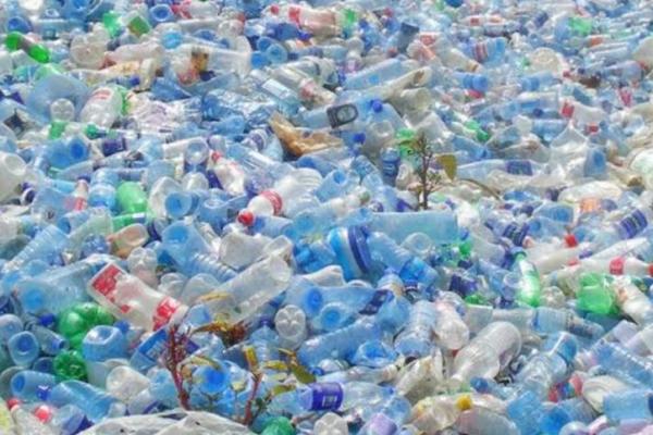 Duh! Kandungan Mikroplastik di Teluk Jakarta Meningkat Tajam