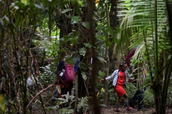Setidaknya lima anak telah ditemukan tewas di hutan pada tahun 2021, sementara lebih dari 150, termasuk bayi yang baru lahir, telah tiba di Panama tanpa orang tua, meningkat hampir 20 kali lipat dari tahun 2020.