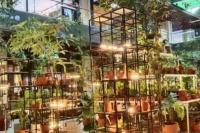 Warga Jakarta Diajak Manfaatkan Rooftop Untuk Pengembangan Urban Farming